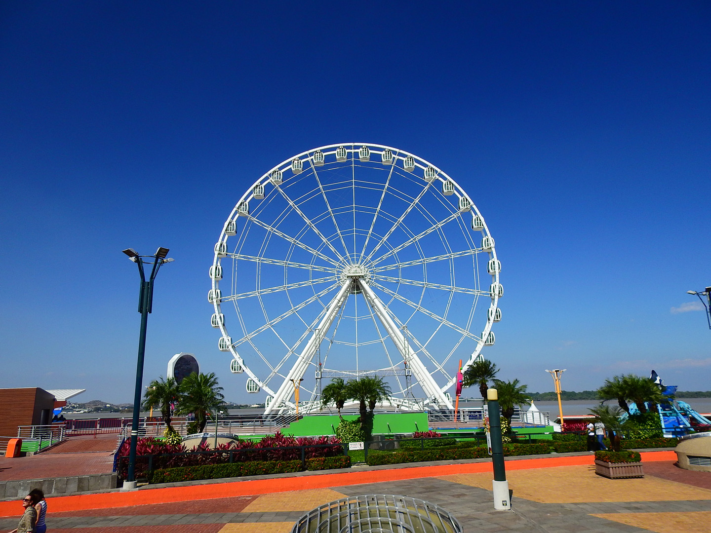 Epic Guayaquil City Tour