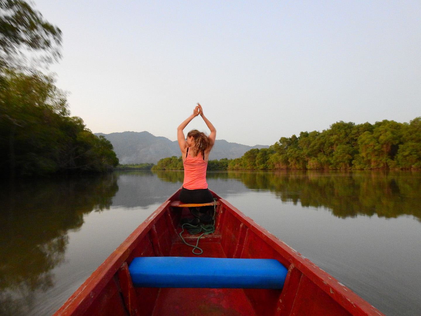 Epic Mangroves Reserve Trip